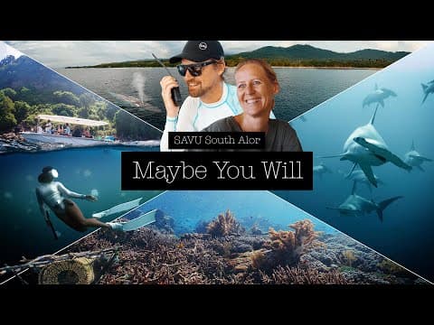  Maybe You Will - Diving with SAVU in South Alor video thumbnail