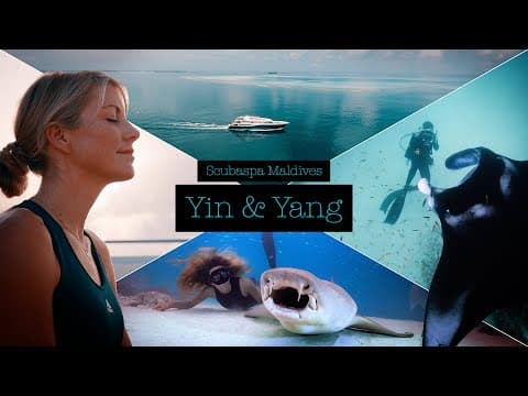 Yin & Yang - Diving and Spa with Scubaspa Maldives video thumbnail