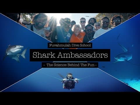 Fuvahmulah Shark Ambassadors - The Science Behind the Fun video thumbnail